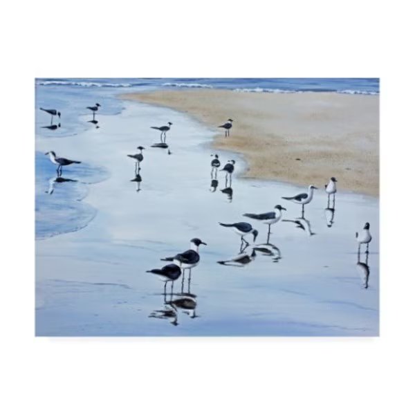 Patrick Sullivan 'Many Birds' Canvas Art, 35x47, Trademark Fine Art, Mfr#: ALI45346-C3547GG